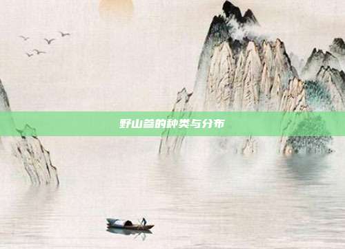 野山参的种类与分布