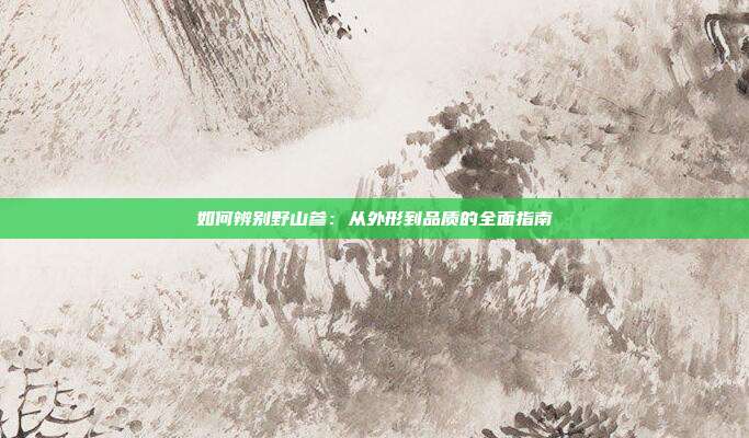 如何辨别野山参:从外形到品质的全面指南
