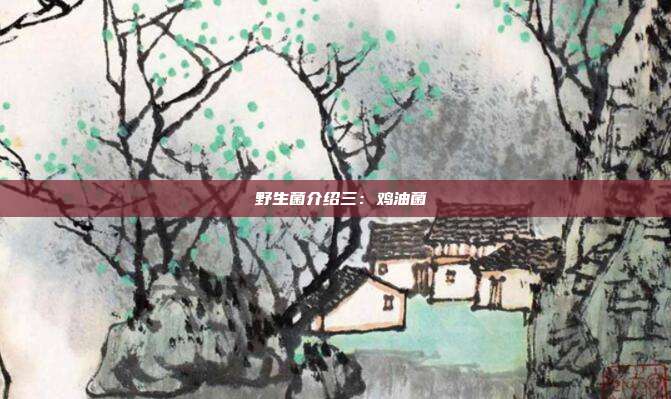 野生菌介绍三:鸡油菌