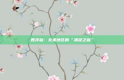 西洋参：北美地区的“清凉之参”