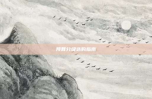 预算分级选购指南